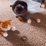猫まっしぐらなおもちゃは何なのか？検証してみた結果