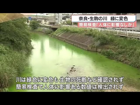 奈良県川の緑色の原因は入浴剤などに使用される発色剤の主成分