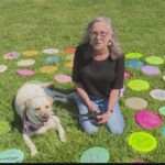 フリスビー救助犬、公園で誰かがなくした155枚を探し集める 