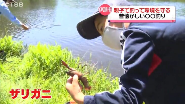 長野・伊那市「釣れた！」親子で釣って食べて環境守る　特定外来生物ウチダザリガニ駆除活動