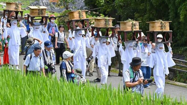 ４年ぶりの神幸行列　青田練り歩く白装束　熊本・阿蘇の国造神社