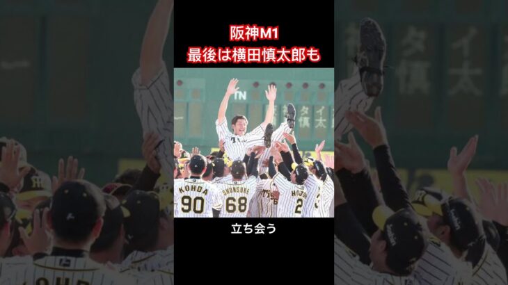 阪神タイガース・18年ぶり優勝へ！