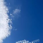【芸能】山口もえ、竹内結子さんの命日に思い「東京はこんな空だったよ」…４０歳での急逝から３年