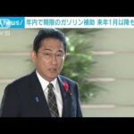 【必見】岸田首相がガソリン・電気・ガス代補助の延長を発表‼ 3月末までサポート継続へ‼