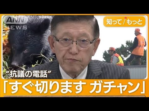 【驚愕】クマ被害で苦情殺到‼ 秋田県職員が業務妨害罪に悩む？