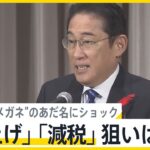【話題】岸田首相が「増税メガネ」に言及、その背後に隠された意図とは？