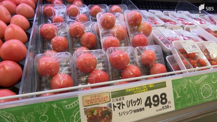 【経済】バカな・・・トマト価格が急騰‼ 2か月で450円上昇、異例の高値に⁉