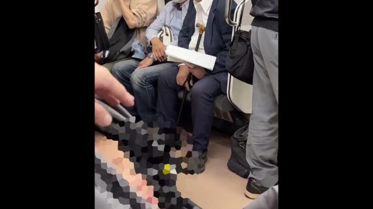 【悲報】高齢男性、電車内で泣く赤ちゃんに激高！「親は人間失格だ！」と暴言