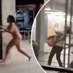 【動画】全裸女が空港を闊歩、金切り声を上げジャンプ、女性を引き倒し、腹を地面に押し付ける