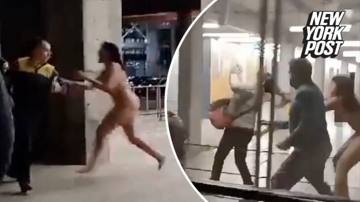 【動画】全裸女が空港を闊歩、金切り声を上げジャンプ、女性を引き倒し、腹を地面に押し付ける