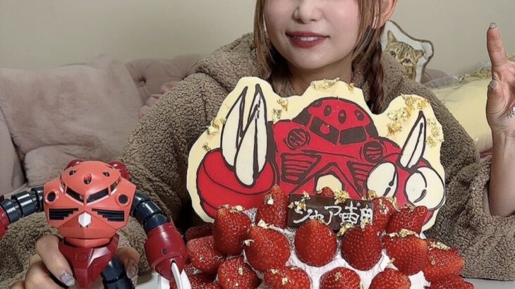 【芸能】「ガンダム」好き中川翔子が“シャア専用ズゴック”仕様の赤いイチゴ使ったクリスマスケーキ披露