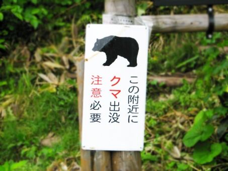 【朗報】東京都、クマさんの都心への侵攻を完全に阻止することに成功