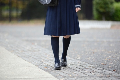 【日本終了】「スカートに落ち葉が付いてるよ」指摘した30代男性を女子高生が通報