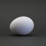 【画像】ディズニーランドのゆで卵が謎すぎるｗｗｗｗｗｗ