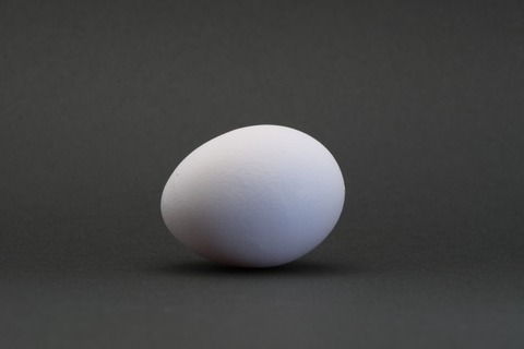 【画像】ディズニーランドのゆで卵が謎すぎるｗｗｗｗｗｗ