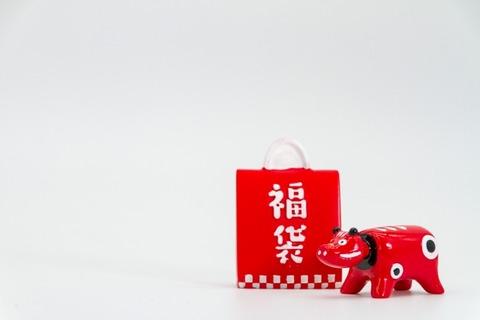 【速報】マクドナルドの福袋（3000円）wwwwww