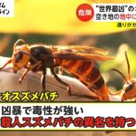 【衝撃】スズメバチ駆除で150万円請求!? トラブルが急増中の害虫駆除業界とは？