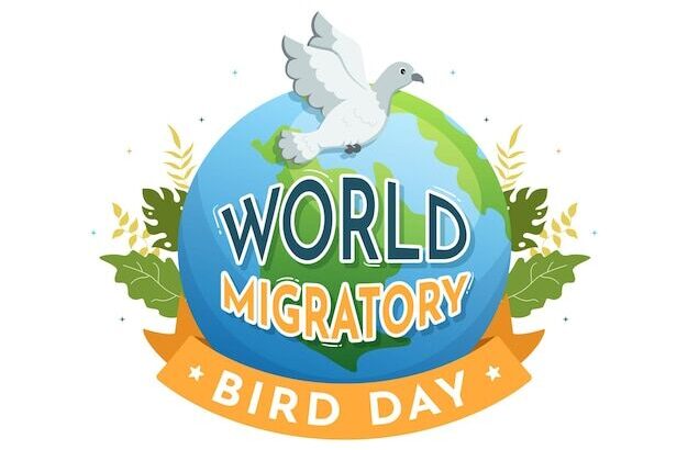 今日5月1日は『世界渡り鳥デー』