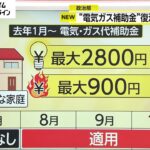 【必見】岸田首相が年金受給者に向けて8月に電気･ガス補助の再開を発表‼